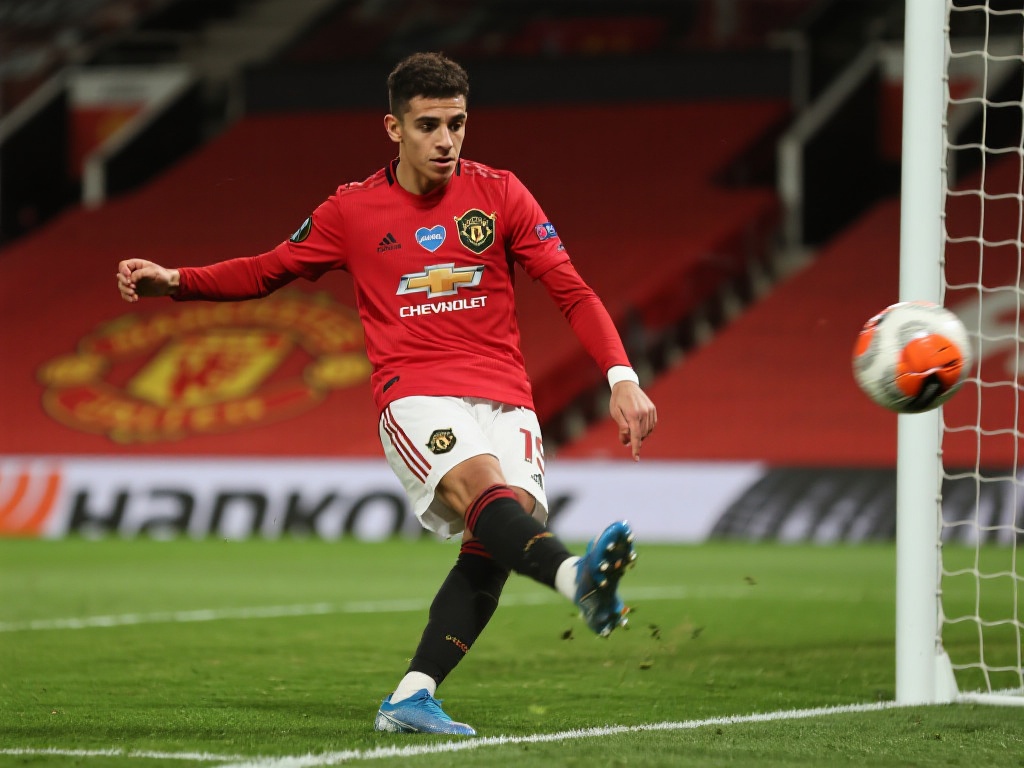 或纽卡斯尔 或纽卡斯尔